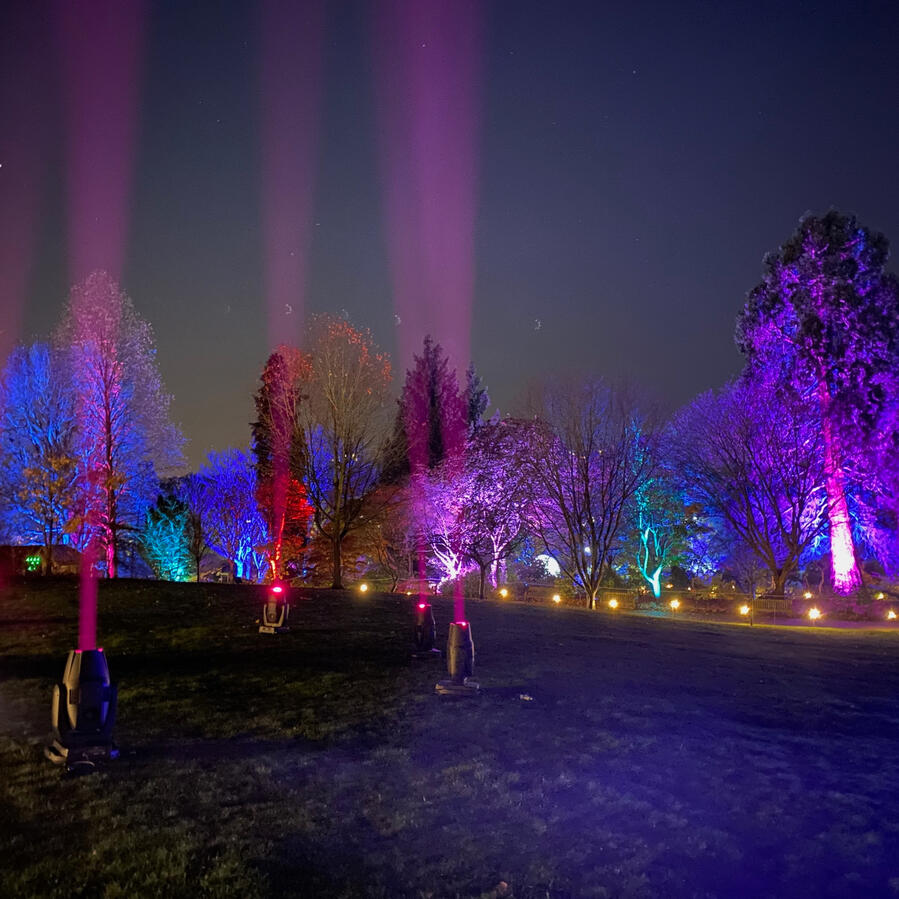 Christmas Light Trail